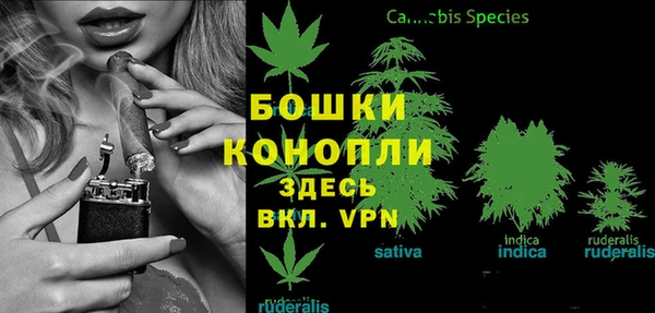 трава Горно-Алтайск