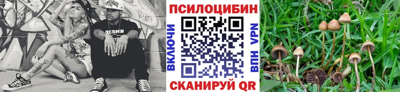 Псилоцибиновые грибы Psilocybine cubensis  мега ссылка  Пушкино 