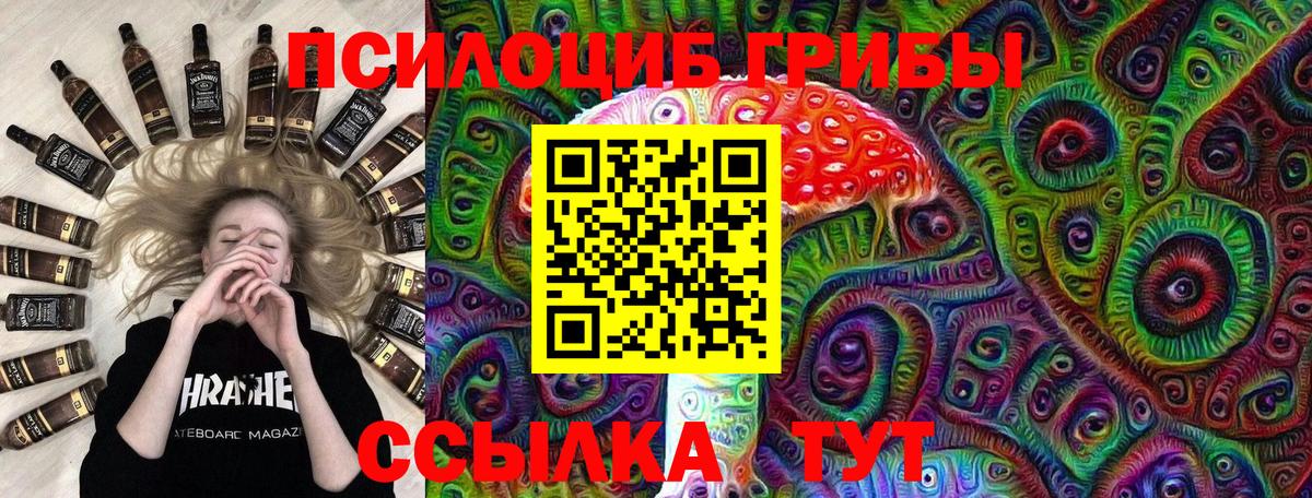 Пушкино  Галлюциногенные грибы Psilocybe  купить  цена  Псилоцибиновые грибы мицелий  Вход с VPN 