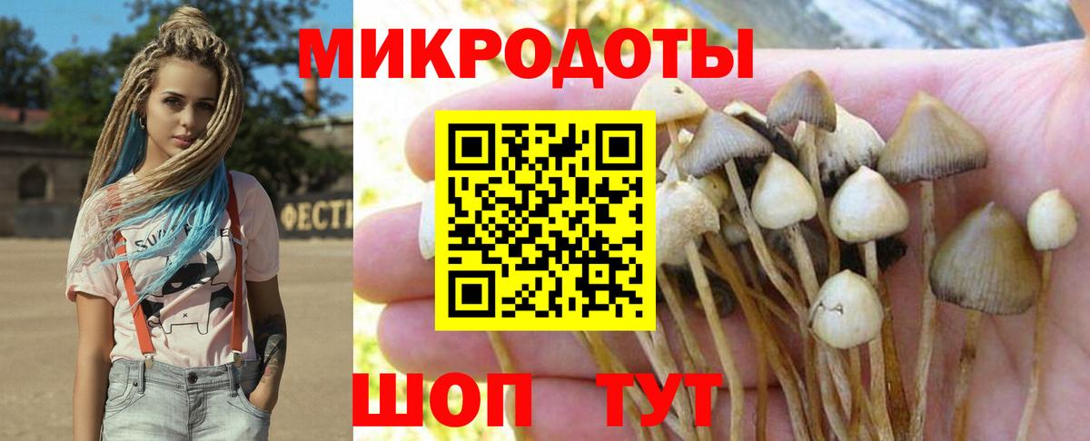 Псилоцибиновые грибы Cubensis Пушкино